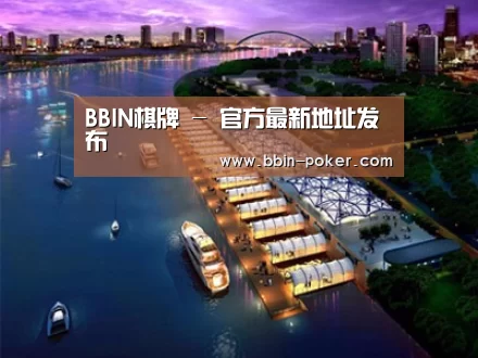 案例展示八