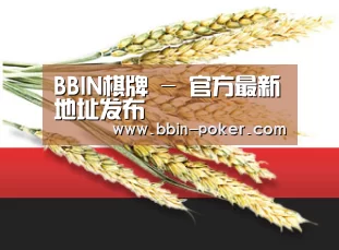 BBIN棋牌 - 官方最新地址发布