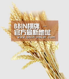 BBIN棋牌 - 官方最新地址发布