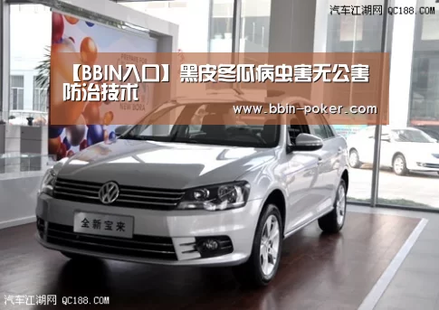 BBIN官网
