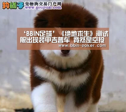 ‘BBIN足球’《绝地求生》测试服出现装甲吉普车 竟然是空投物品(图3) BBIN入口
