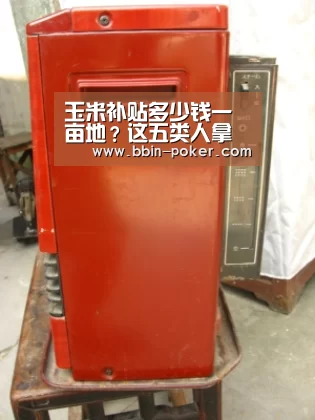 玉米补贴多少钱一亩地?这五类人拿不到玉米补贴!_BBIN足球(图1) BBIN官网