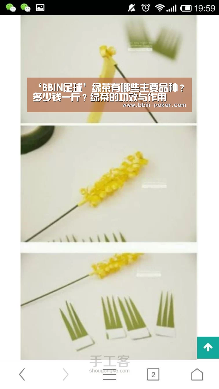 ‘BBIN足球’绿茶有哪些主要品种?多少钱一斤?绿茶的功效与作用(图2) BBIN足球