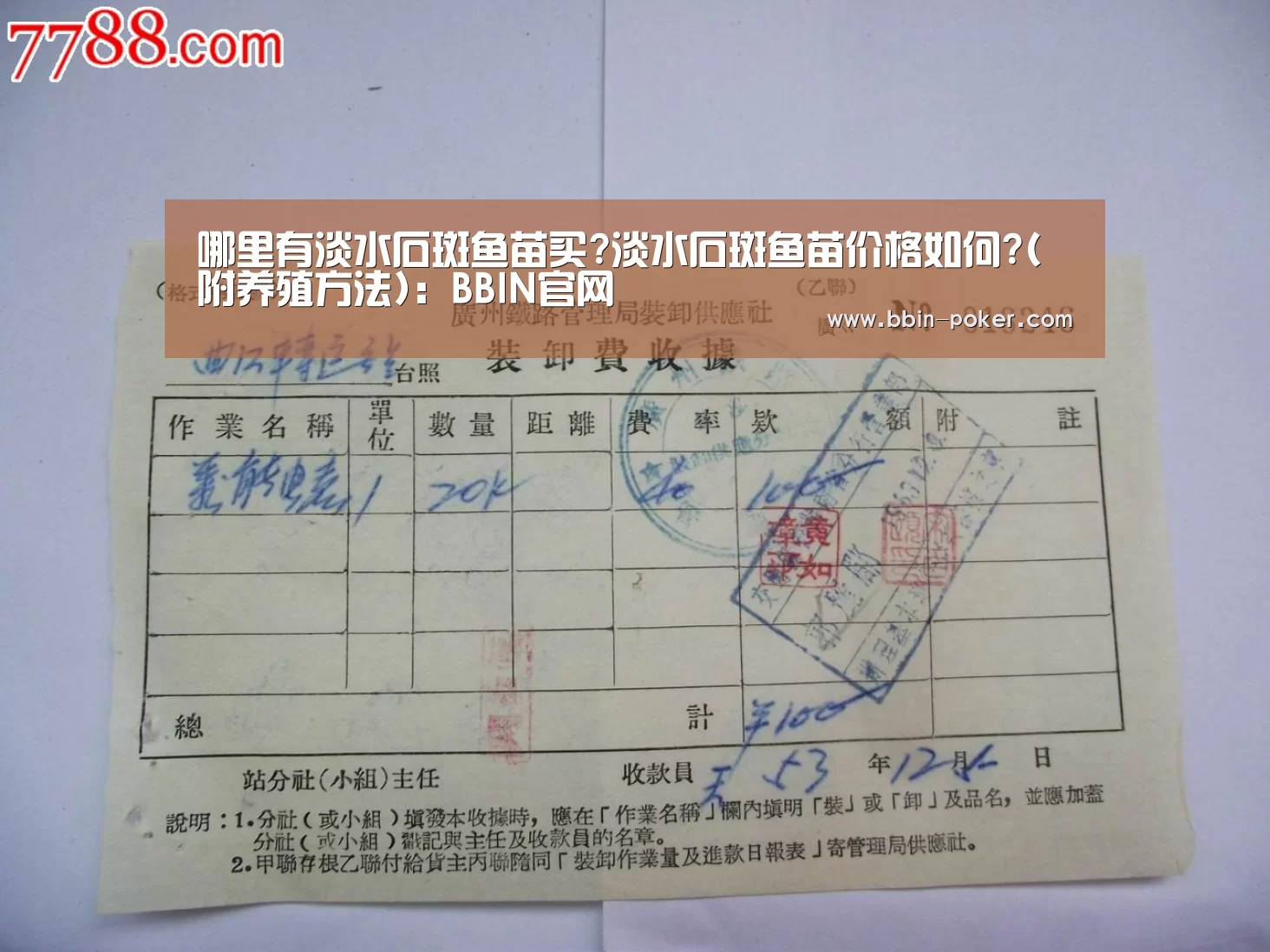 哪里有淡水石斑鱼苗买?淡水石斑鱼苗价格如何?(附养殖方法):BBIN官网(图1) BBIN入口