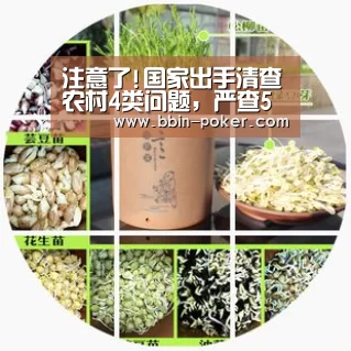 注意了!国家出手清查农村4类问题,严查5类人员_BBIN足球(图2) BBIN电子
