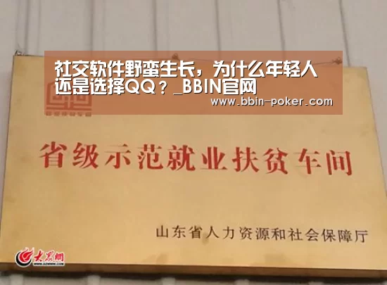 社交软件野蛮生长,为什么年轻人还是选择QQ?_BBIN官网(图2) BBIN电子